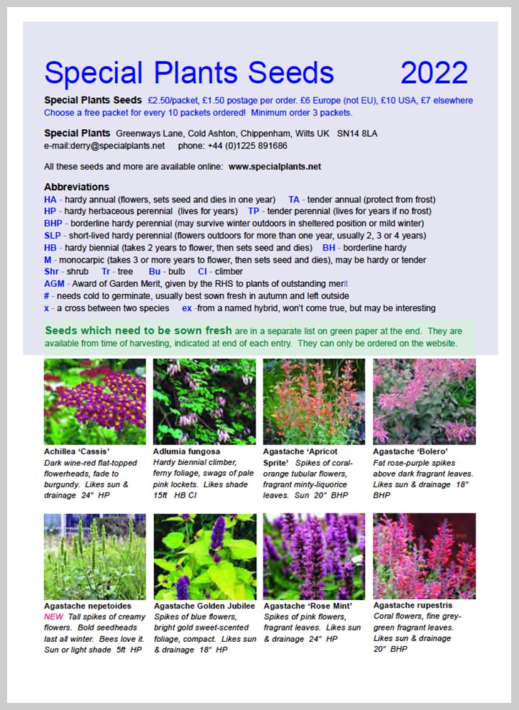 Download Seed Catalogue 2022