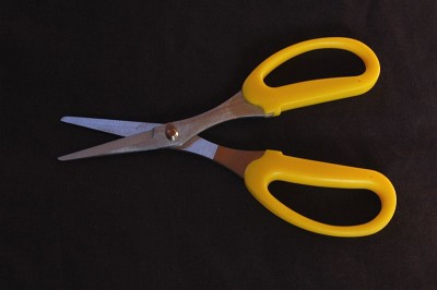Garden Scissors - medium image 1