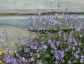 Parahebe catarractae 'Porlock' - small image 1